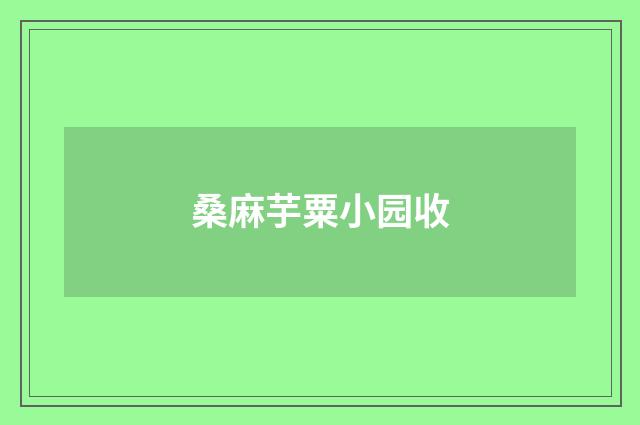 桑麻芋粟小园收