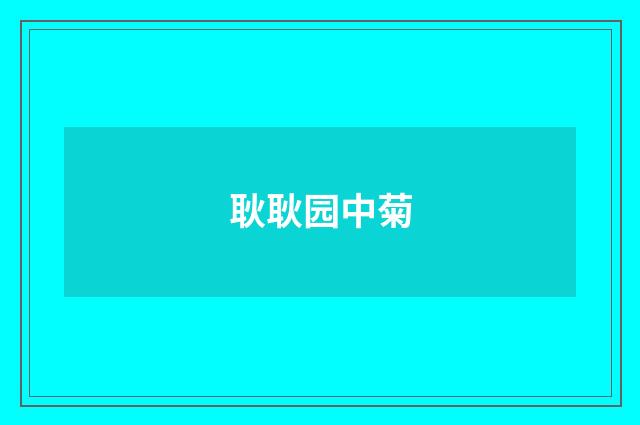 耿耿园中菊