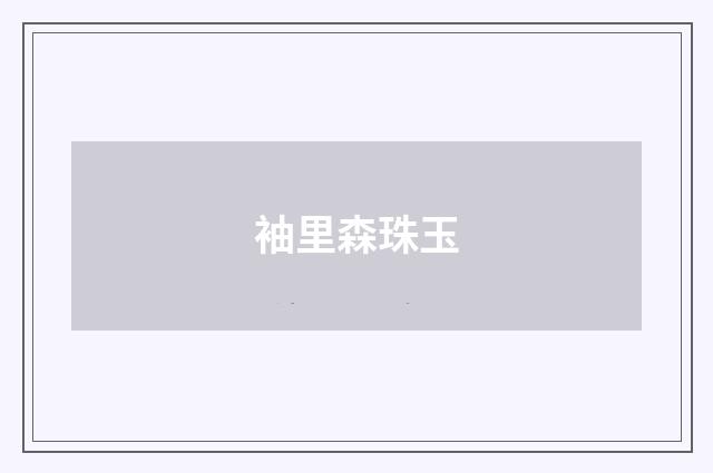 袖里森珠玉