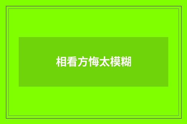 相看方悔太模糊
