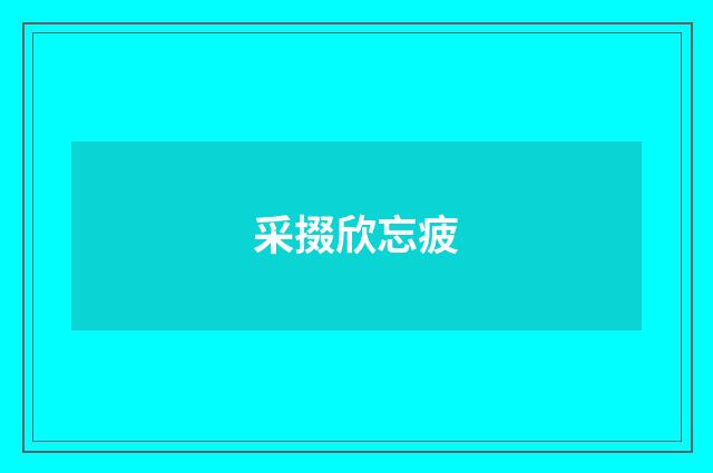 采掇欣忘疲