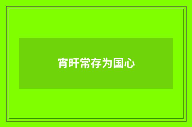 宵旰常存为国心