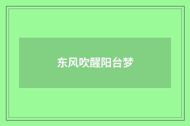 东风吹醒阳台梦
