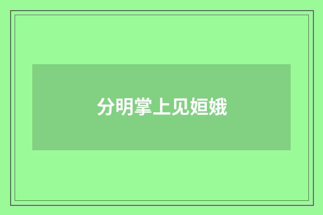 分明掌上见姮娥
