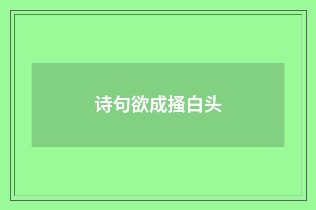 诗句欲成搔白头