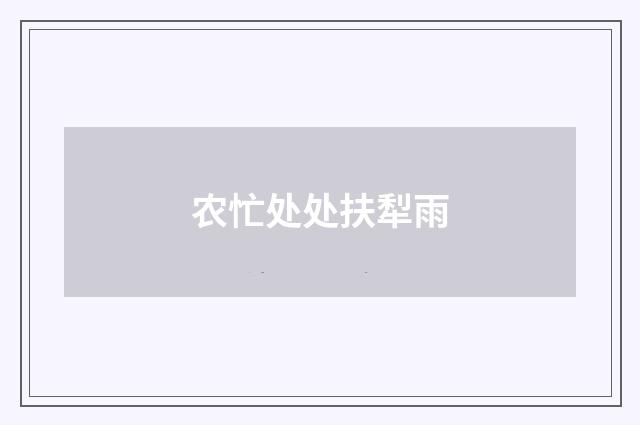 农忙处处扶犁雨