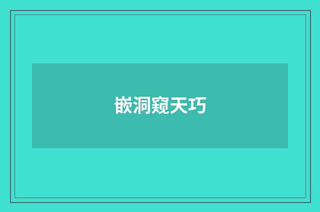 嵌洞窥天巧