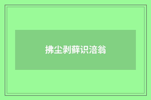 拂尘剥藓识涪翁