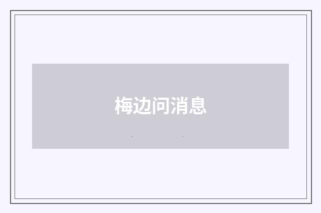 梅边问消息