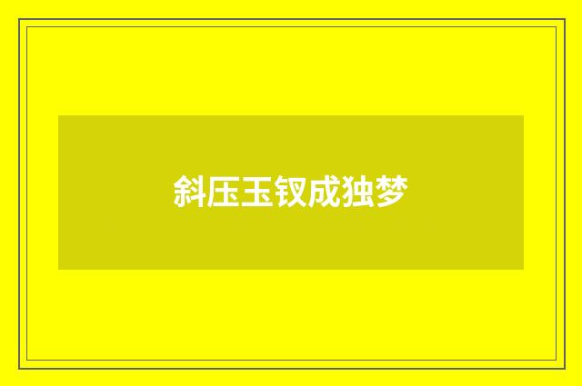 斜压玉钗成独梦