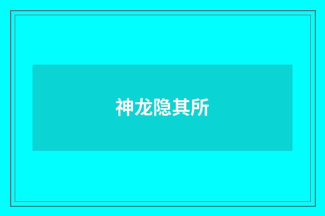 神龙隐其所