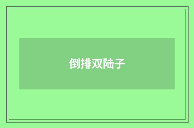 倒排双陆子