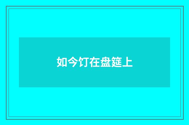 如今饤在盘筵上