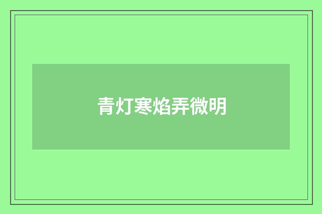 青灯寒焰弄微明