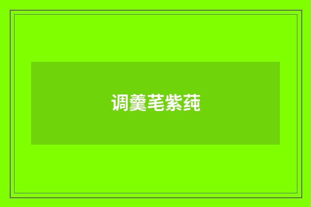 调羹芼紫莼