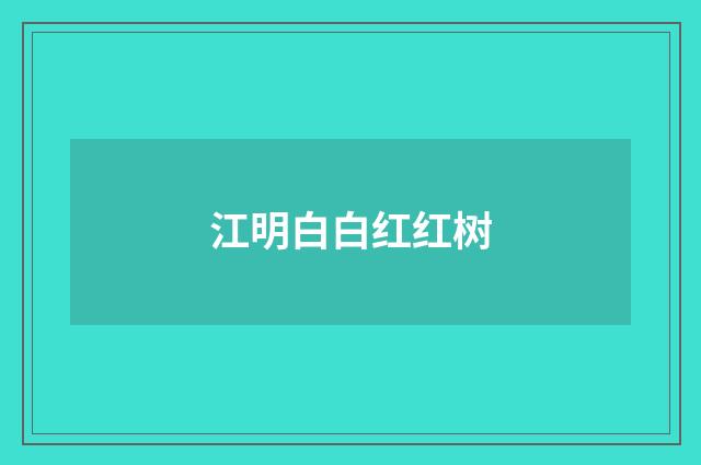 江明白白红红树
