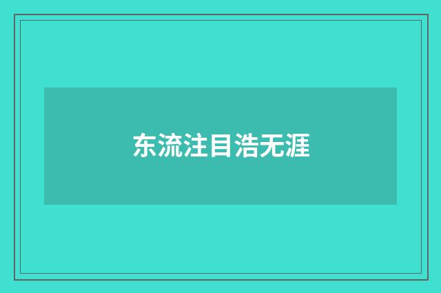 东流注目浩无涯