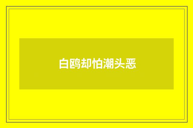 白鸥却怕潮头恶