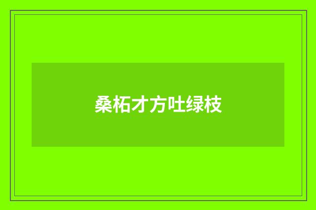桑柘才方吐绿枝