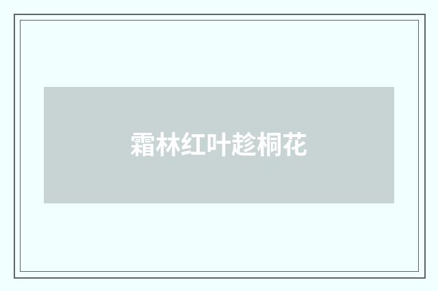 霜林红叶趁桐花