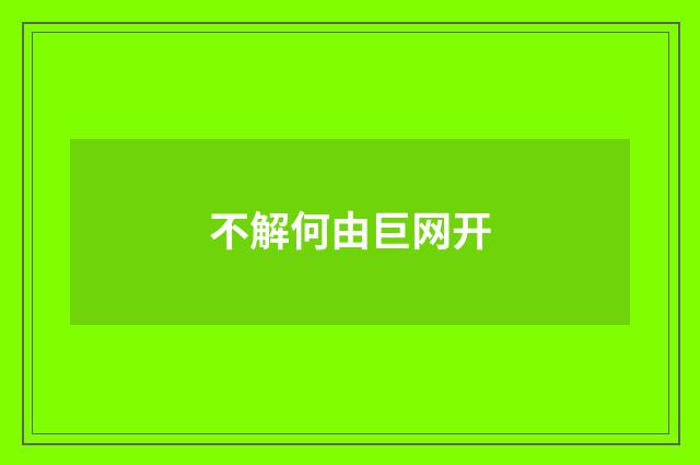 不解何由巨网开