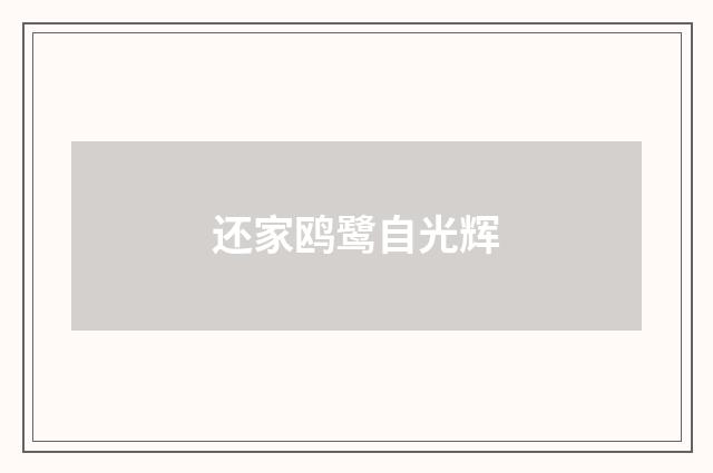还家鸥鹭自光辉