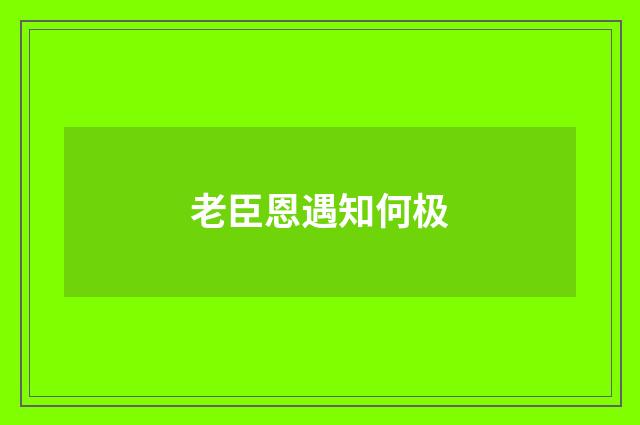 老臣恩遇知何极