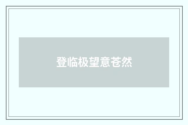 登临极望意苍然