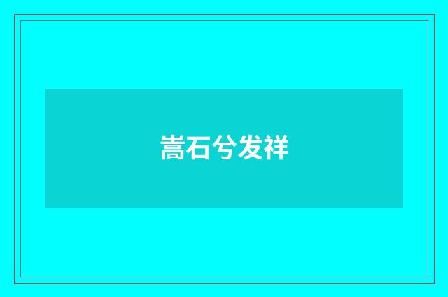 嵩石兮发祥