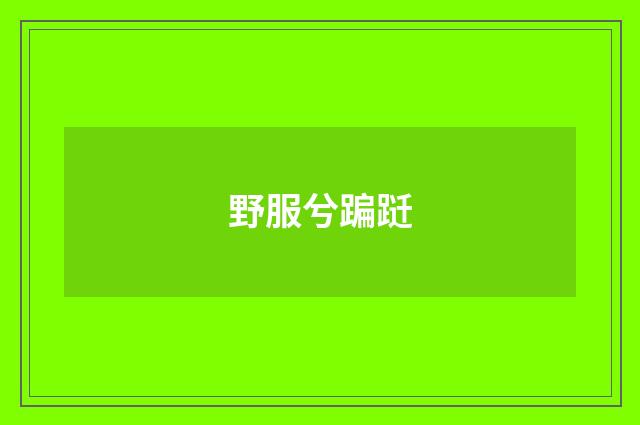 野服兮蹁跹