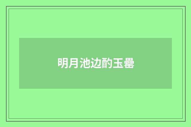 明月池边酌玉罍