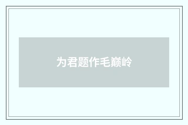 为君题作毛巅岭