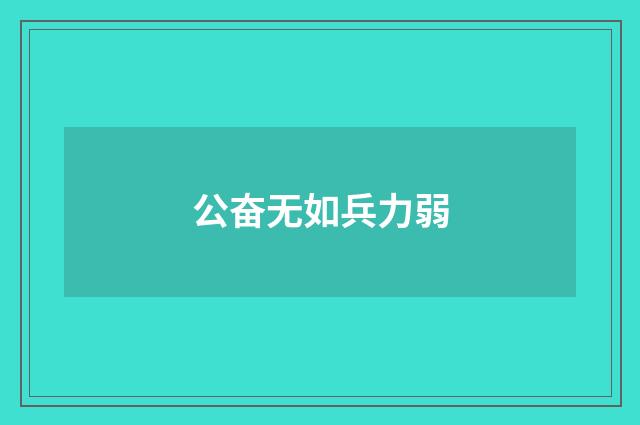 公奋无如兵力弱