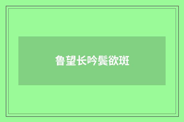鲁望长吟鬓欲斑