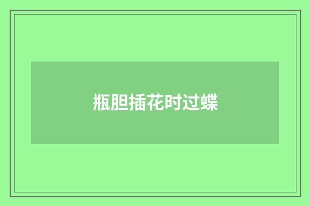 瓶胆插花时过蝶