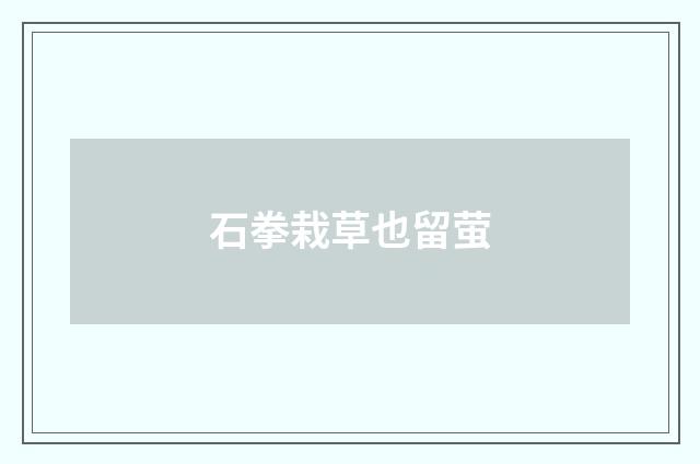 石拳栽草也留萤