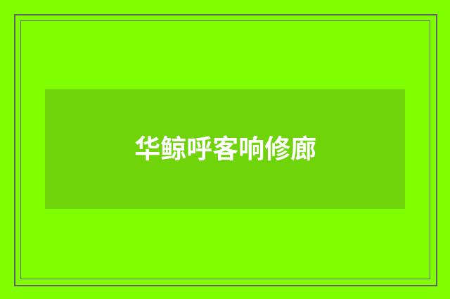 华鲸呼客响修廊