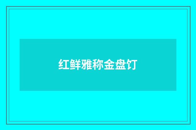 红鲜雅称金盘饤