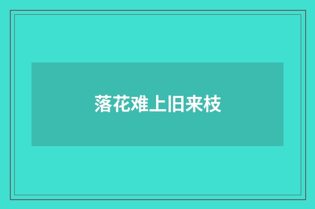 落花难上旧来枝