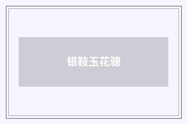 银鞍玉花骢