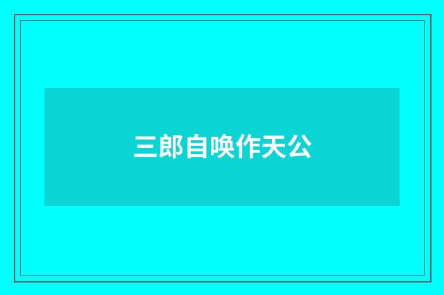 三郎自唤作天公