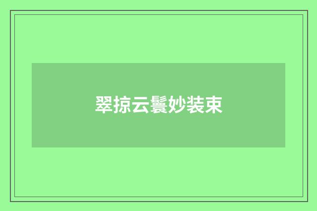 翠掠云鬟妙装束