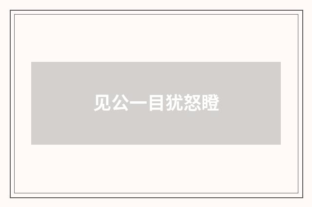 见公一目犹怒瞪