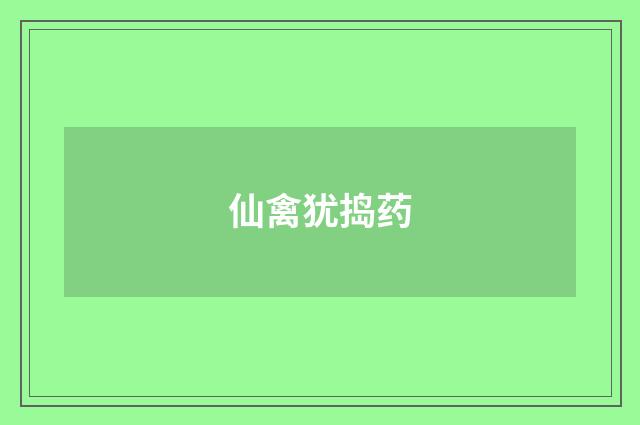 仙禽犹捣药