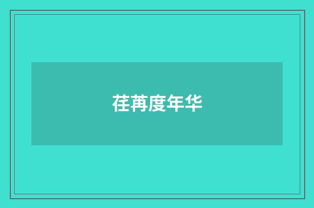 荏苒度年华