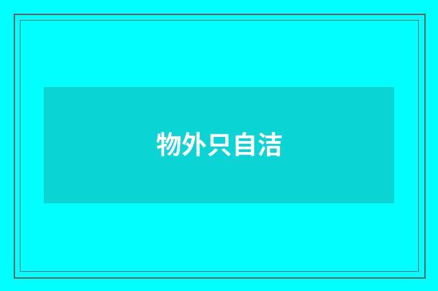 物外只自洁
