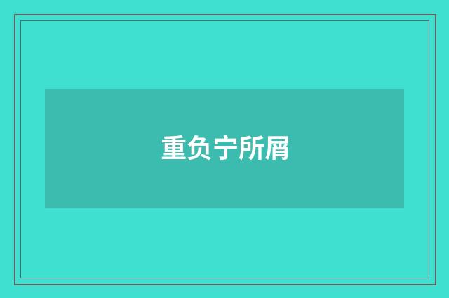 重负宁所屑