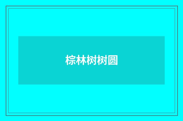 棕林树树圆