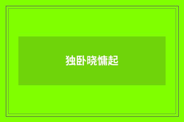 独卧晓慵起