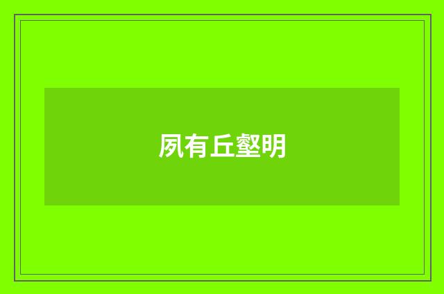 夙有丘壑明